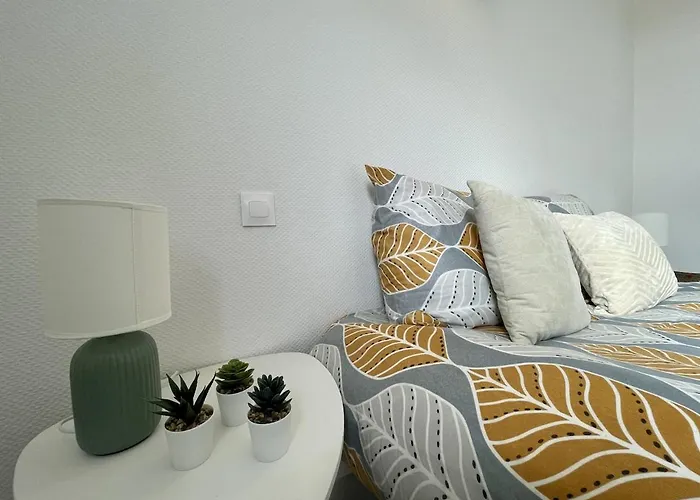 Apartman Le Smash - Terasse - Parking Fonsorbes