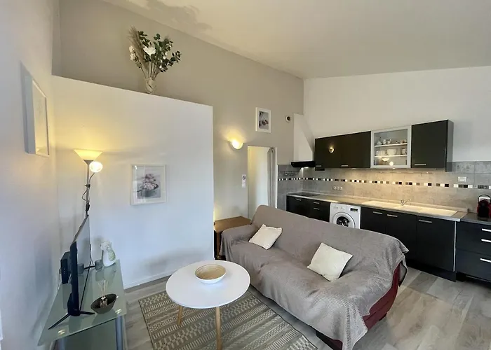 Apartman Le Smash - Terasse - Parking Fonsorbes